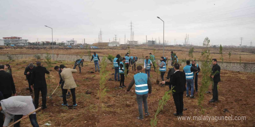 Milli Ağaçlandırma Günü’nde Cizre’de fidanlar toprakla buluştu