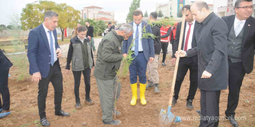 Milli Ağaçlandırma Günü’nde Cizre’de fidanlar toprakla buluştu