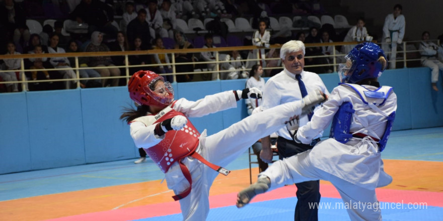 Minikler ve Yıldızlar Taekwondo Cumhuriyet Kupası Müsabakaları tamamlandı