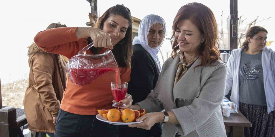 Moro cinsi ’Mersin kan portakalı’nın coğrafi işaret tescili alındı