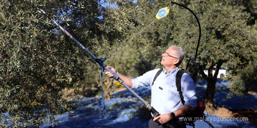 Mudanya Belediyesi zeytin üreticisinin yanında