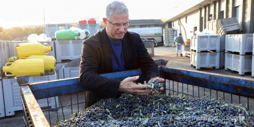 Mudanya zeytin turizmiyle markalaşacak