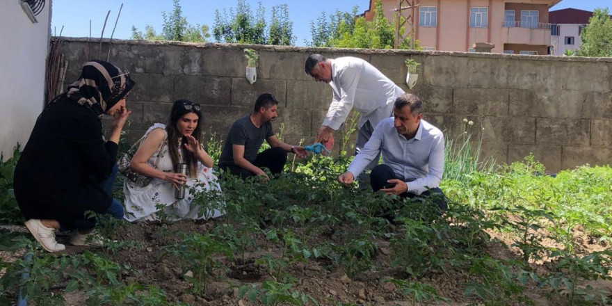 Müdür Yiğit ilçedeki sebze alanlarını inceledi