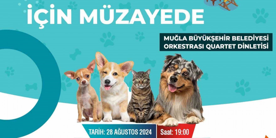 Muğla Büyükşehirden sokak hayvanları yararına müzayede