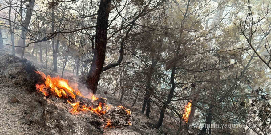 Muğla Gökova Körfezi’nde orman yangını