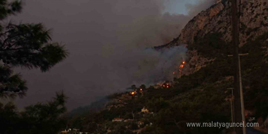 Muğla Gökova Körfezi’nde orman yangını