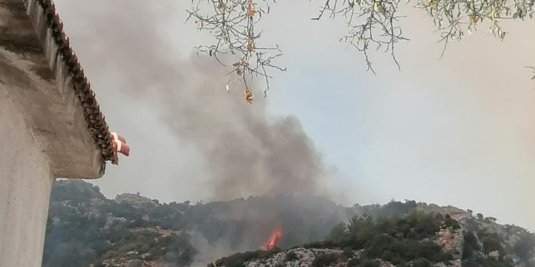 Muğla’da orman yangını