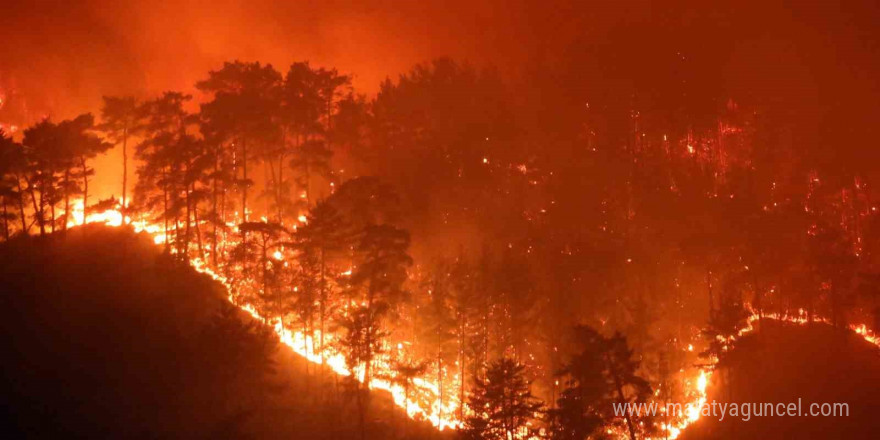 Muğla’da yaz sezonunda günde ortalama 6 yangına müdahale edildi