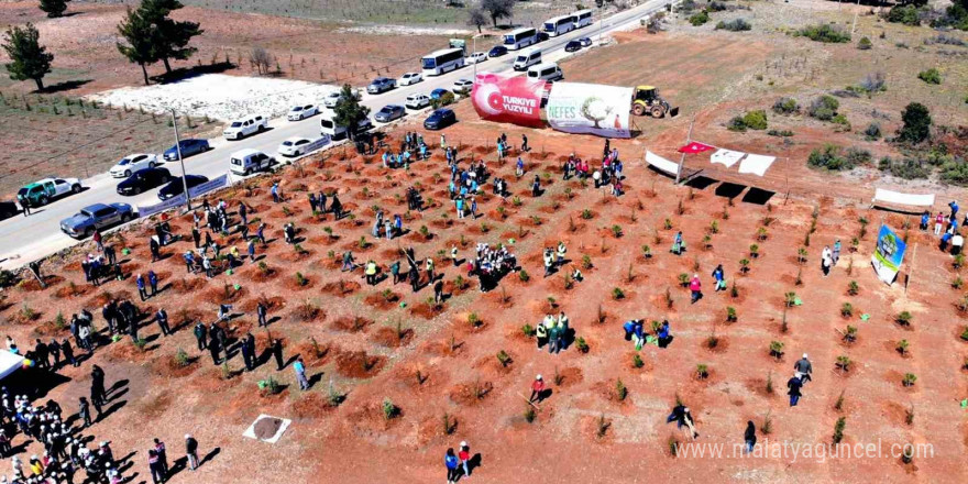 Muğla’nın 11 ilçesinde, 11 Kasım’da, saat 11.11’de binlerce fidan toprakla buluşacak