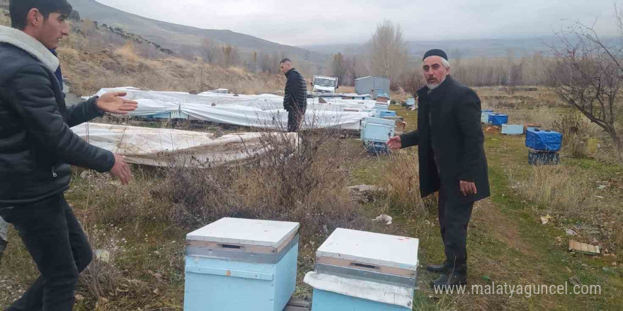 Muradiye’de ayılar kovanlara ve kümes hayvanlarına saldırdı