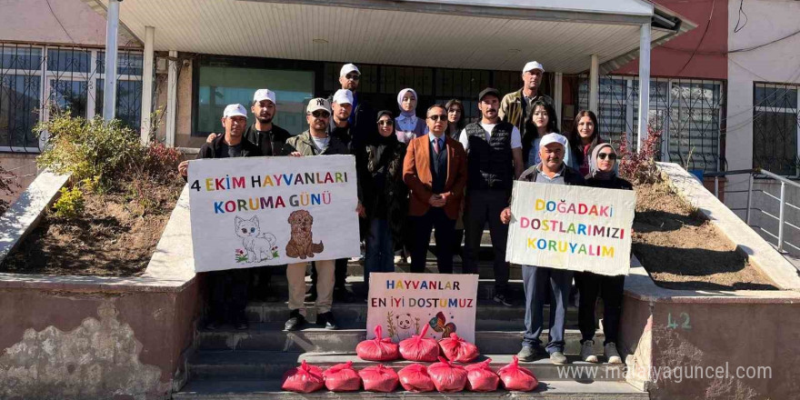 Muradiye’de yaban hayvanları için doğaya yem bırakıldı