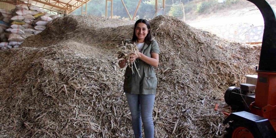 Muratpaşa’da  yeşil ekonomi anlatılacak