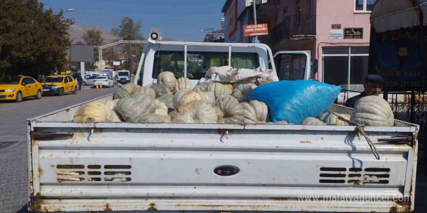 Muş merkezde yetiştirdiği kabakları Varto’da satıyor