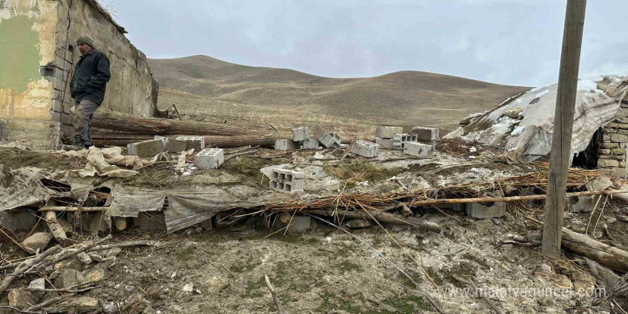 Muş’ta ahır çöktü: 30 küçükbaş hayvan telef oldu