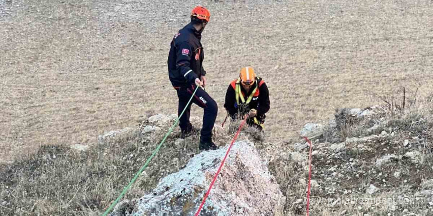 Muş’ta kayalıkta mahsur kalan keçiler kurtarıldı