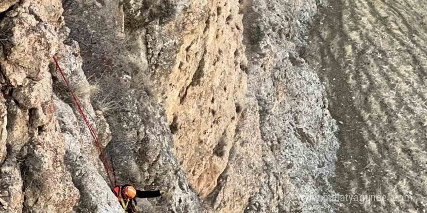 Muş’ta kayalıkta mahsur kalan keçiler kurtarıldı