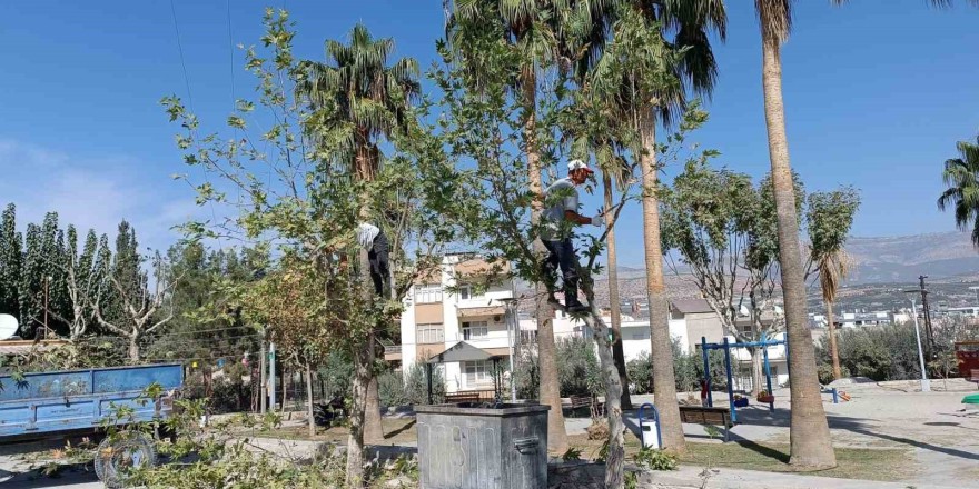 Mut’ta yol, park ve bahçelerin kışlık bakımı yapılıyor