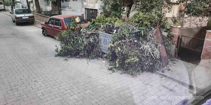 Nazilli Belediyesi Temizlik İşleri Müdürlüğü’nden vatandaşlara çağrı