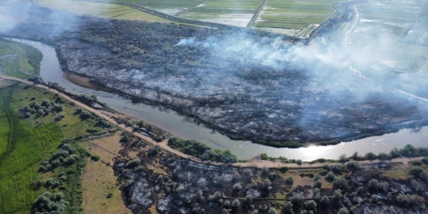 Nehir yatağındaki yangınında 700 dönüm alan zarar gördü
