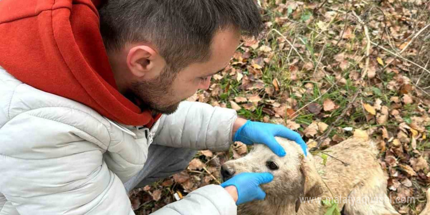 Nehre düşen köpek tekne yardımı ile kurtarıldı