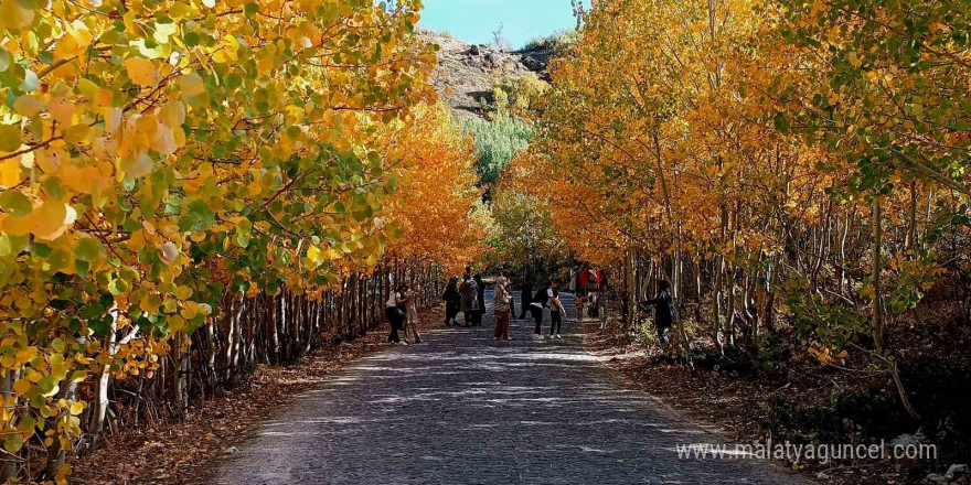 Nemrut Kalderası’nda sonbahar güzelliği