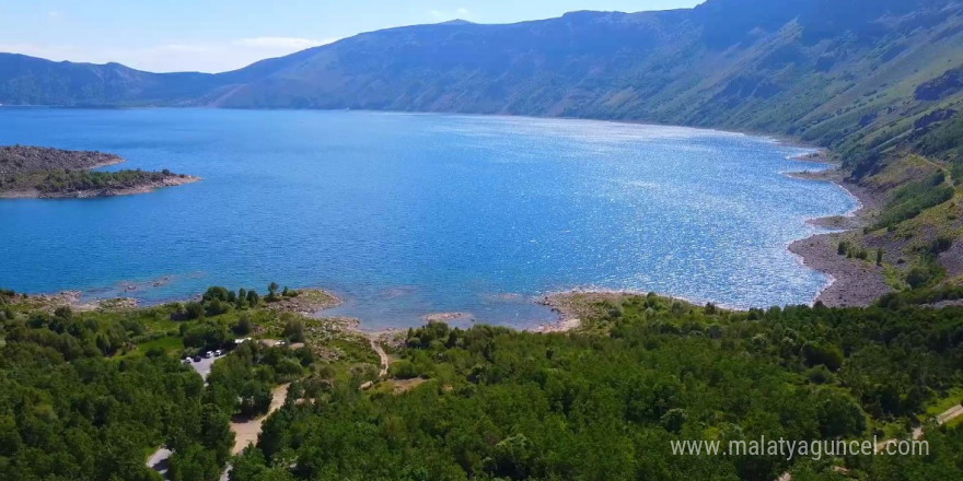 Nemrut’un maskotu bozayılar ve ekosistem tehlike altında