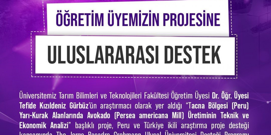 Niğde Ömer Halisdemir Üniversitesi Öğretim Üyesinin Projesine Uluslararası Destek