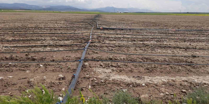 Niğde’de üreticilere 110 milyon 216 bin 58 TL’lik hibe desteği sağlanacak