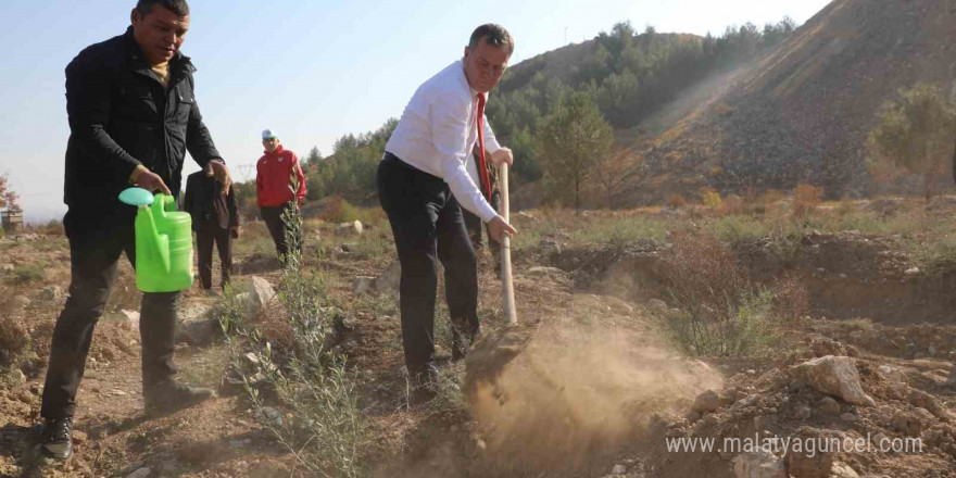 Nizip Belediyesi, bin adet zeytin fidesi dikti