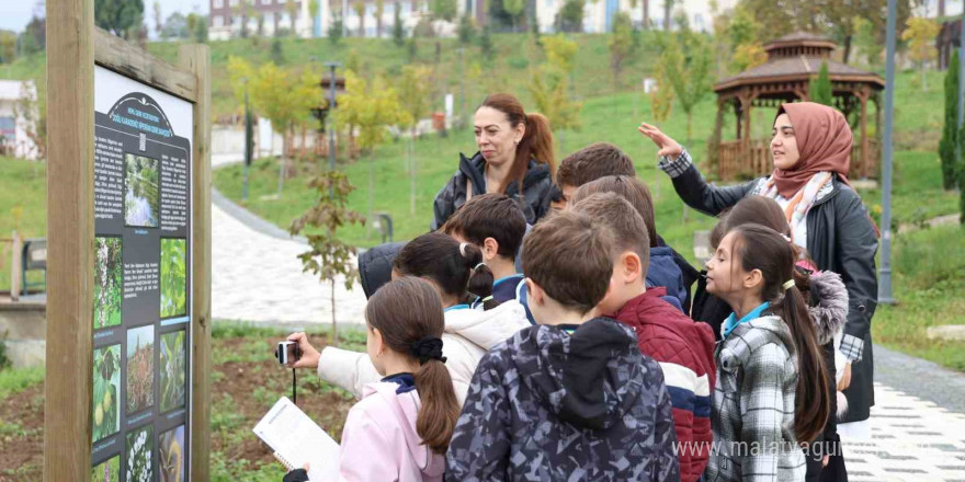 Öğrencilerden, Düzce Üniversitesi Botanik Bahçesi’ne ziyaret