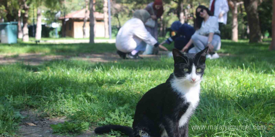 Öğrencilerden Hayvanları Koruma Günü duyarlılığı