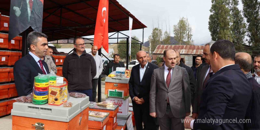 Oltu’da ana arı yetiştiriciliği projesi