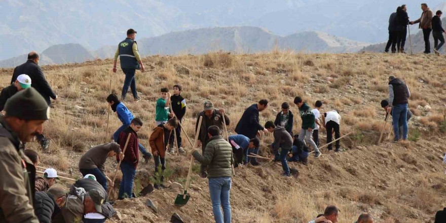 Oltu’da fidan dikimi etkinliği