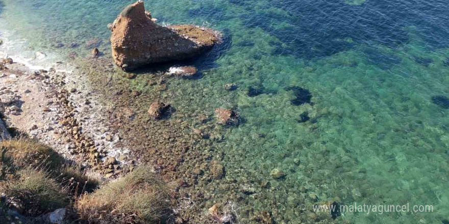 Ölü olarak bulunan caretta, dalgıçlar tarafından karaya çıkarıldı