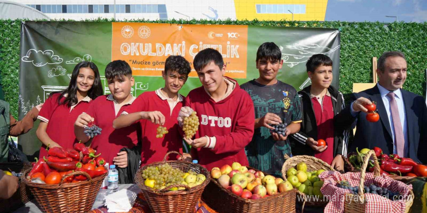 Önce öğrenip ürettiler şimdi ise satıyorlar