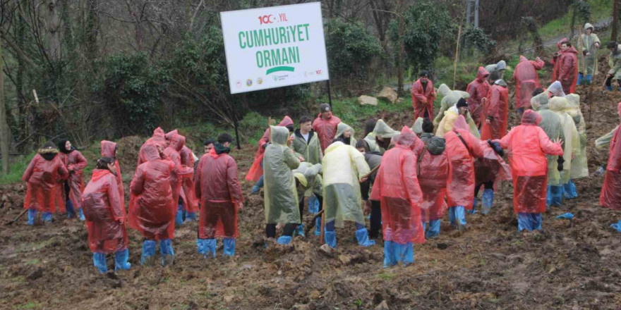 Ordu’da 5 bin fidan toprakla buluşturuldu