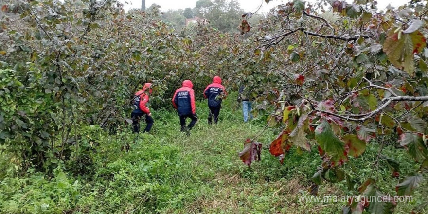 Ordu’da ağaçtan düşen yaşlı adam hayatını kaybetti