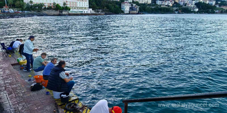 Ordu’da amatör balıkçılar hafta sonunda rıhtıma akın etti