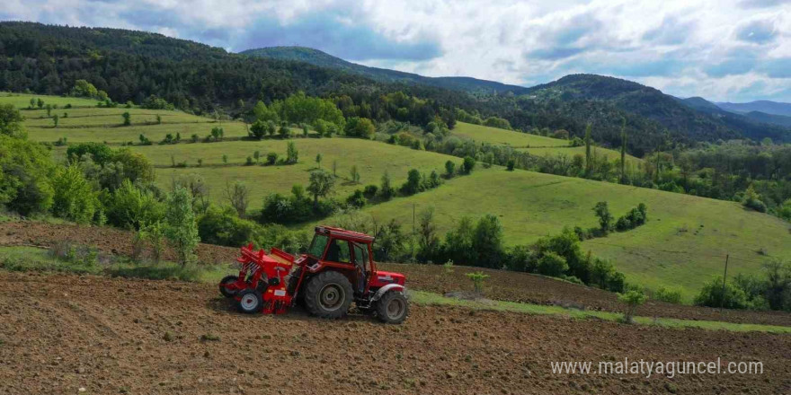 Ordu’da boş arazilerden bugün bereket fışkırıyor