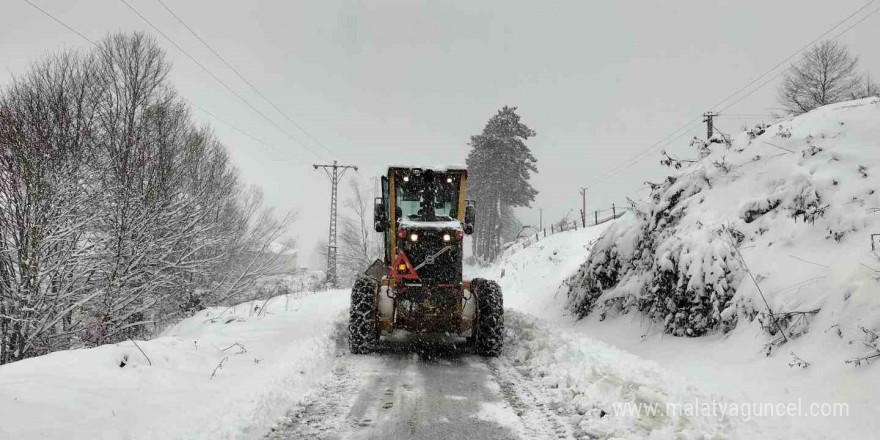 Ordu’da kar yağışı etkili oldu