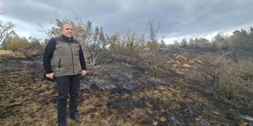 Orman Bölge Müdürü Bayraktaroğlu çalışmaları inceledi