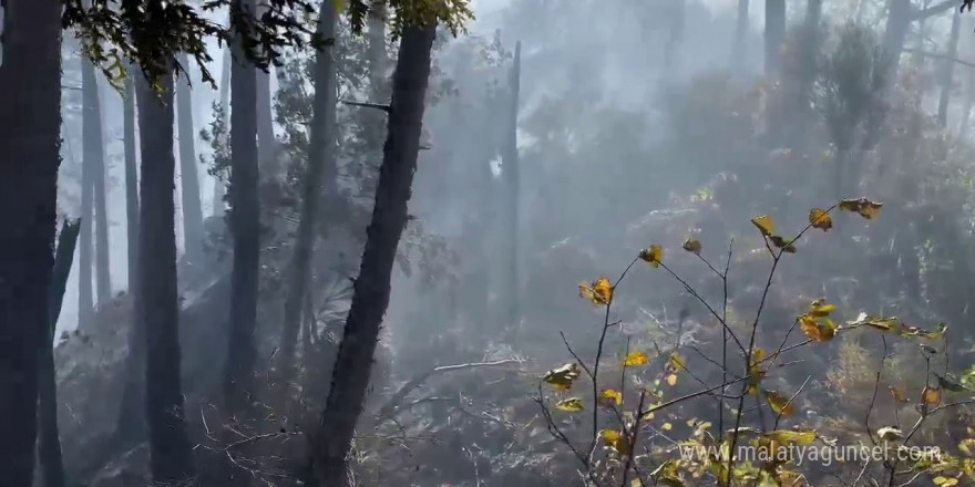 Orman yangınına müdahale çevre illerden destekle devam ediyor