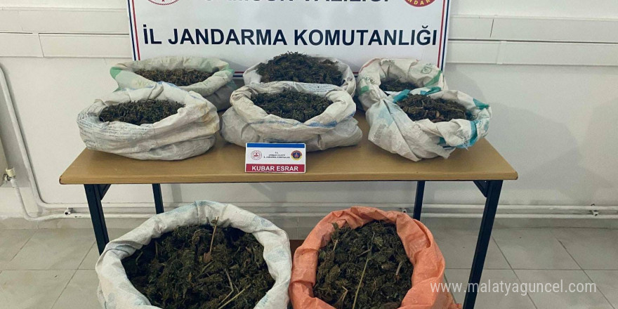 Ormanlık alandaki çadırda 8,5 kilo esrar ele geçirildi