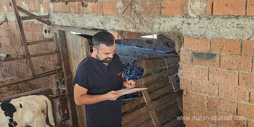 Ortaca’da hayvan sağlığı çalışmaları hızla devam ediyor