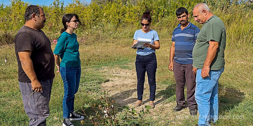 Ortaca’da pamuk ve pikan cevizi üretiminde kontroller başarıyla tamamlandı