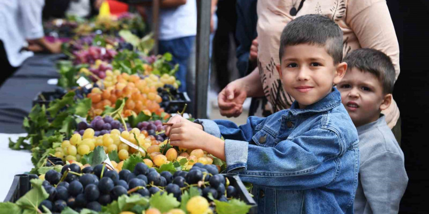 Osmangazi’nin en güzel üzümleri seçildi