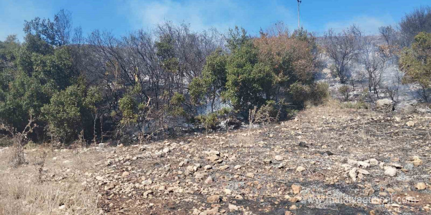 Osmaniye’de 2 noktada çıkan orman yangını söndürüldü