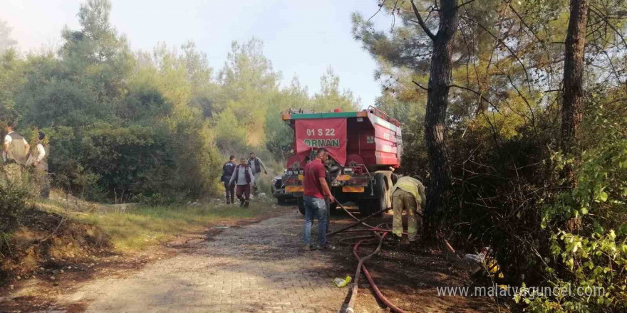 Osmaniye’de orman yangını başladı