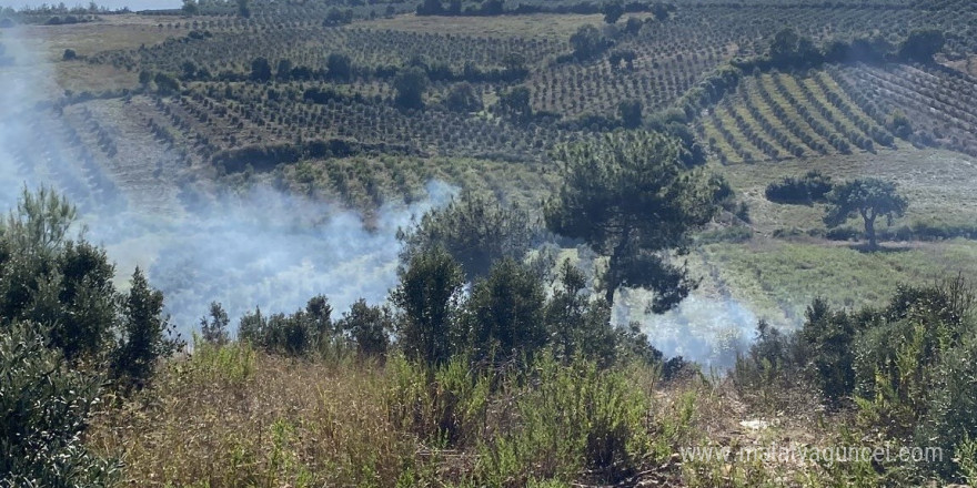 Osmaniye’de otluk alanda başlayan yangın zeytin ağaçlarına sıçradı