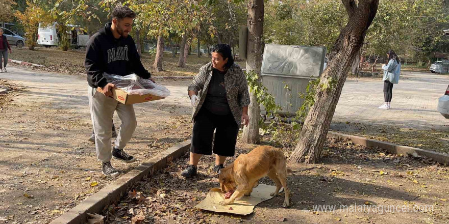 Osmaniye’de sokak hayvanları için doğaya yem bırakıldı